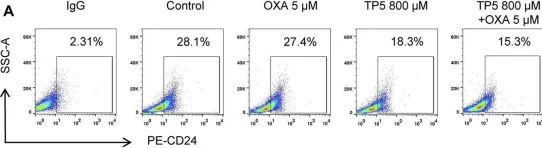 Fig.7.A showing Flow cytometry/Cell sorting from the publication: Thymopentin-Mediated Inhibition of Cancer Stem Cell Stemness Enhances the Cytotoxic Effect of Oxaliplatin on Colon Cancer Cells.