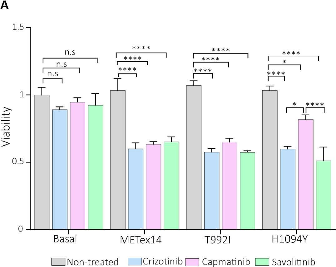 Fig.6.A from the publication: MET Exon 14 Skipping and Novel Actionable Variants: Diagnostic and Therapeutic Implications in Latin American Non-Small-Cell Lung Cancer Patients.