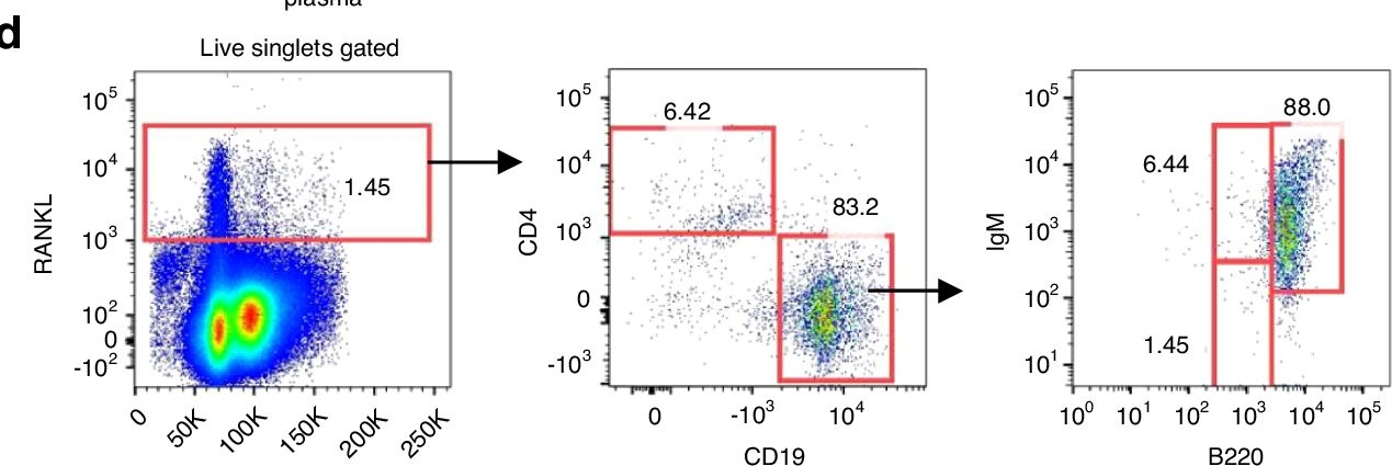 Fig.1.D showing Flow cytometry/Cell sorting from the publication: A RANKL+/CXCR4+ B cell population accumulates in bone marrow and causes age-related osteoporosis in mice.
