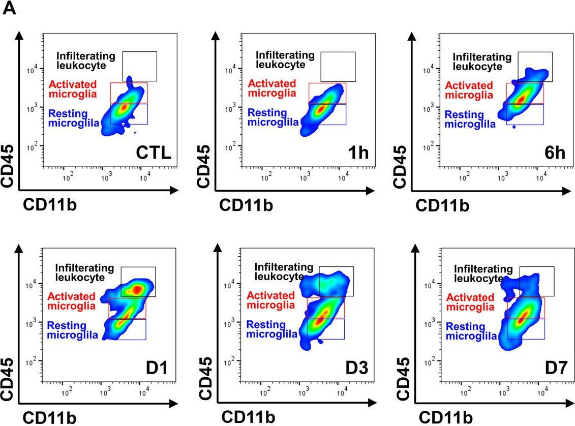 Fig.3.A showing Flow cytometry/Cell sorting in a Mus musculus (House mouse) sample from the publication: Key Role of Microglial Matrix Metalloproteinases in Choroidal Neovascularization.