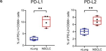 Fig.1.G showing Flow cytometry/Cell sorting in a Homo sapiens (Human) sample from the publication: VentX promotes tumor specific immunity and efficacy of immune checkpoint inhibitors.