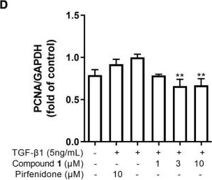 Fig.4.D from the publication: β-Carboline Alkaloids From the Deep-Sea Fungus Trichoderma sp. MCCC 3A01244 as a New Type of Anti-pulmonary Fibrosis Agent That Inhibits TGF-β/Smad Signaling Pathway.