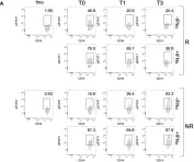 Fig.3.A showing Flow cytometry/Cell sorting in a Homo sapiens (Human) sample from the publication: Baricitinib therapy response in rheumatoid arthritis patients associates to STAT1 phosphorylation in monocytes.