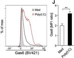 Fig.1.A showing Flow cytometry/Cell sorting in a Homo sapiens (Human) sample from the publication: Axl and MerTK receptor tyrosine kinases maintain human macrophage efferocytic capacity in the presence of viral triggers.