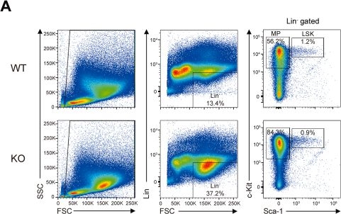 Fig.1.A showing Flow cytometry/Cell sorting in a Mus musculus (House mouse) sample from the publication: LDB1 represses fetal hemoglobin expression by enhancing BCL11A transcription.