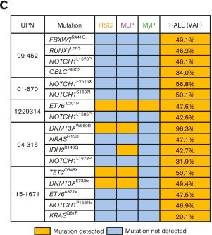 Fig.1.C from the publication: BIRC5 upregulation enhances DNMT3A-mutant T-ALL cell survival and pathogenesis.