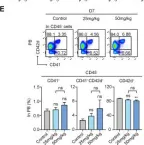 Fig.4.E showing Flow cytometry/Cell sorting in a Mus musculus (House mouse) sample from the publication: MCL-1 Inhibitor S63845 Distinctively Affects Intramedullary and Extramedullary Hematopoiesis.
