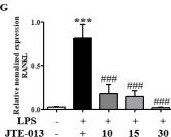 Fig.9.G from the publication: Blocking the Sphingosine-1-Phosphate Receptor 2 (S1P2) Reduces the Severity of Collagen-Induced Arthritis in DBA-1J Mice.