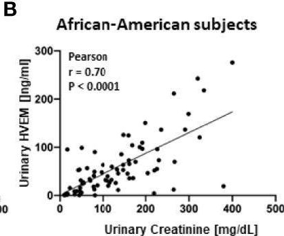Fig.5.B showing Enzyme-linked immunosorbent assay from the publication: Comprehensive Urinomic Identification of Protein Alternatives to Creatinine Normalization for Diagnostic Assessment of Lupus Nephritis.