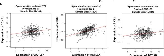 Fig.6.D showing Flow cytometry/Cell sorting from the publication: Potential Role of SWI/SNF Complex Subunit Actin-Like Protein 6A in Cervical Cancer.
