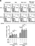 Fig.6.A showing Flow cytometry/Cell sorting in a Homo sapiens (Human) sample from the publication: Hydroxychloroquine inhibits CD154 expression in CD4+ T lymphocytes of systemic lupus erythematosus through NFAT, but not STAT5, signaling.