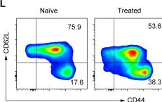 Fig.8.L showing Flow cytometry/Cell sorting in a Mus musculus (House mouse) sample from the publication: Targeting tumor-associated CCR2+ macrophages to inhibit pancreatic cancer recurrence following irreversible electroporation.