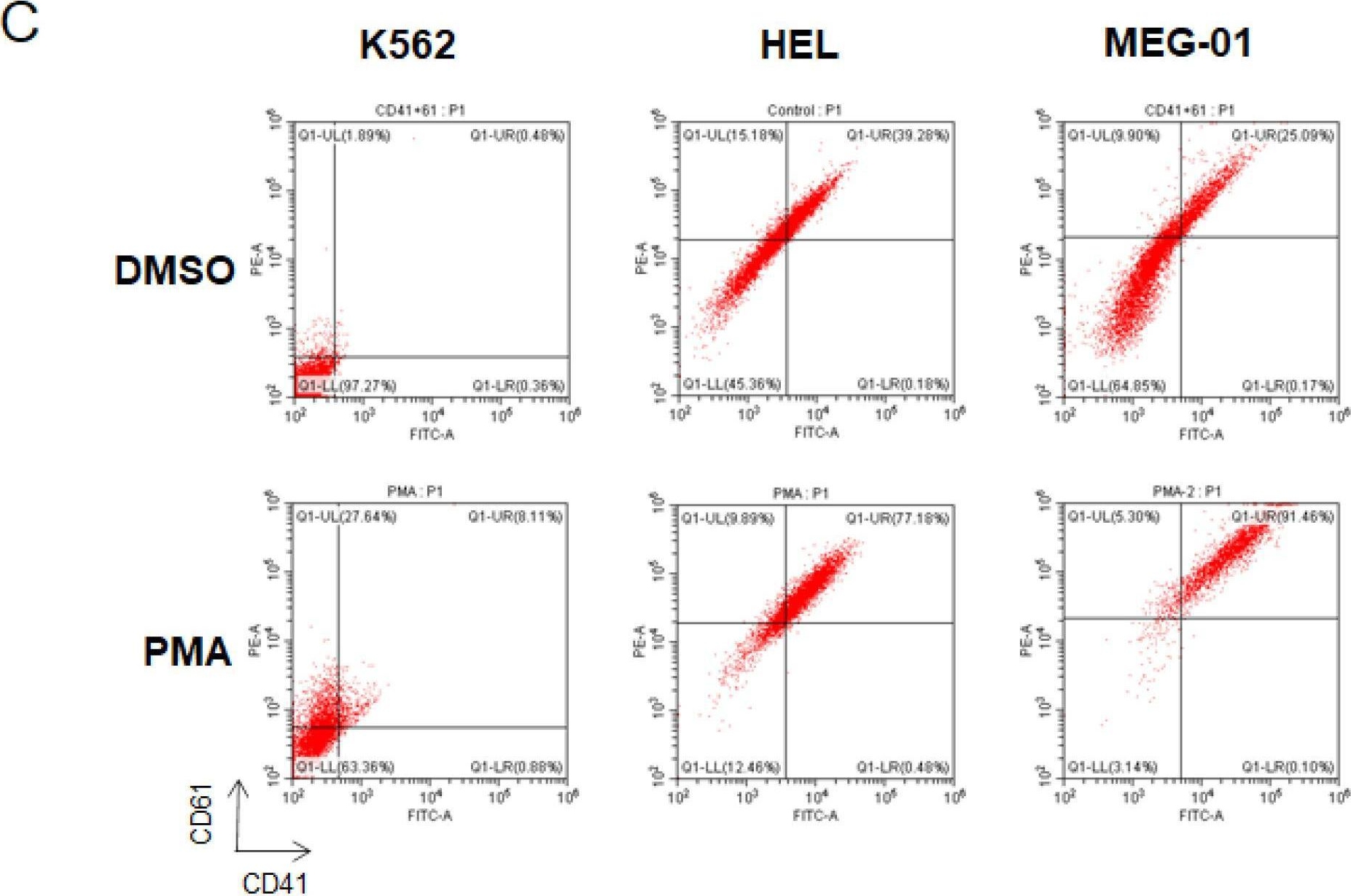 Fig.1.C showing Flow cytometry/Cell sorting in a Homo sapiens (Human) sample from the publication: JMJD1C Regulates Megakaryopoiesis in In Vitro Models through the Actin Network.