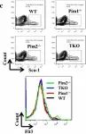 Fig.1.C showing Flow cytometry/Cell sorting from the publication: Pim1 kinase regulates c-Kit gene translation.