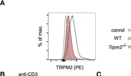 Fig.2.A showing Flow cytometry/Cell sorting from the publication: TRPM2 Is Not Required for T-Cell Activation and Differentiation.