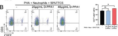 Fig.5.B showing Flow cytometry/Cell sorting from the publication: Tumor-Activated Neutrophils Promote Lung Cancer Progression through the IL-8/PD-L1 Pathway.