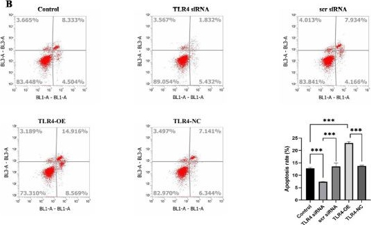 Fig.10.B showing Flow cytometry/Cell sorting in a Mus musculus (House mouse) sample from the publication: Neuronal exosomal miR-25-3p attenuates M1 microglial activation and neurotoxicity by targeting TLR4 to regulate the NF-κB signaling pathway.