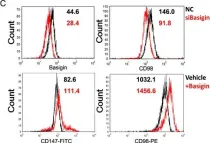 Fig.2.C showing Flow cytometry/Cell sorting from the publication: Basigin-mediated redistribution of CD98 promotes cell spreading and tumorigenicity in hepatocellular carcinoma.