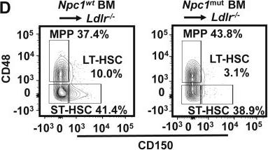 Fig.4.D showing Flow cytometry/Cell sorting from the publication: Elevated granulocyte-colony stimulating factor and hematopoietic stem cell mobilization in Niemann-Pick type C1 disease.