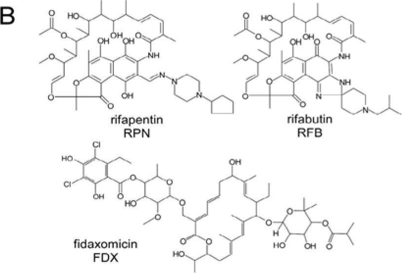 Fig.4.B from the publication: Going Retro, Going Viral: Experiences and Lessons in Drug Discovery from COVID-19.
