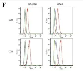 Fig.4.F showing Flow cytometry/Cell sorting in a Homo sapiens (Human) sample from the publication: The glycome of normal and malignant plasma cells.