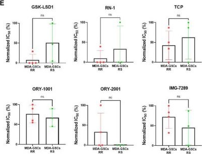 Fig.4.E from the publication: Comparison of pharmacological inhibitors of lysine-specific demethylase 1 in glioblastoma stem cells reveals inhibitor-specific efficacy profiles.