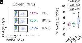 Fig.2.B showing Flow cytometry/Cell sorting from the publication: Type I interferons augment regulatory T cell polarization in concert with ancillary cytokine signals.