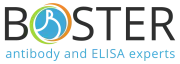Boster Biological Technology logo