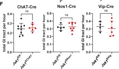 Fig.2.F from the publication: Neuronal responses to cytokines limit intestinal hypermotility and systemic effects of colonic inflammation.