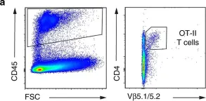 Fig.5.A showing Flow cytometry/Cell sorting in a Mus musculus (House mouse) sample from the publication: Effector CD4+ T cells recognize intravascular antigen presented by patrolling monocytes.
