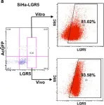 Fig.4.A showing Flow cytometry/Cell sorting from the publication: LGR5 promotes cancer stem cell traits and chemoresistance in cervical cancer.
