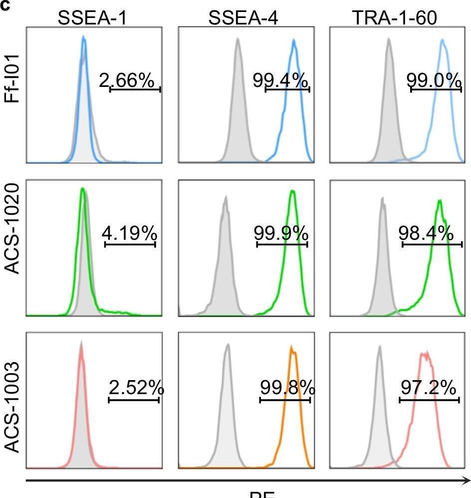 Fig.4.C showing Flow cytometry/Cell sorting in a Homo sapiens (Human) sample from the publication: Development and evaluation of a novel xeno-free culture medium for human-induced pluripotent stem cells.