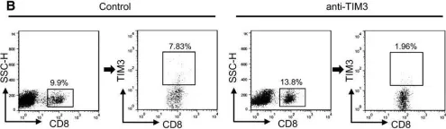 Fig.6.B showing Flow cytometry/Cell sorting from the publication: T-cell immunoglobulin mucin 3 blockade drives an antitumor immune response in head and neck cancer.