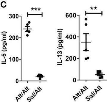 Fig.1.C showing Enzyme-linked immunosorbent assay from the publication: NFκB1 inhibits memory formation and supports effector function of ILC2s in memory-driven asthma.