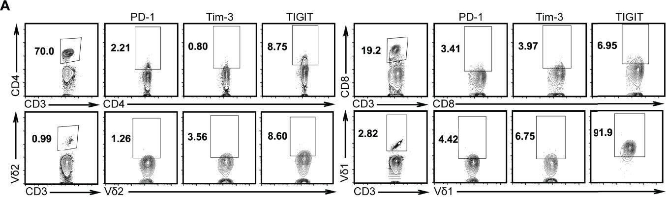 Fig.2.A showing Flow cytometry/Cell sorting in a Homo sapiens (Human) sample from the publication: Androgens in Patients With Luminal B and HER2 Breast Cancer Might Be a Biomarker Promoting Anti-PD-1 Efficacy.