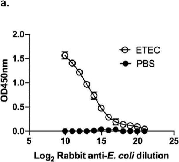 Fig.4.A from the publication: The Immunogenicity and Properties of a Whole-Cell ETEC Vaccine Inactivated with Psoralen and UVA Light in Comparison to Formalin.