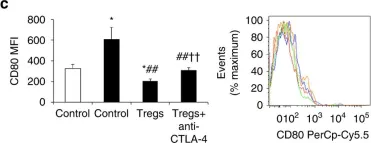 Fig.7.C showing Flow cytometry/Cell sorting in a Mus musculus (House mouse) sample from the publication: Foxp3+ Tregs are recruited to the retina to repair pathological angiogenesis.