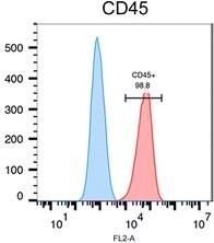 Fig.4.A showing Flow cytometry/Cell sorting in a Canis lupus familiaris (Domestic dog) sample from the publication: A novel canine histiocytic sarcoma cell line: initial characterization and utilization for drug screening studies.