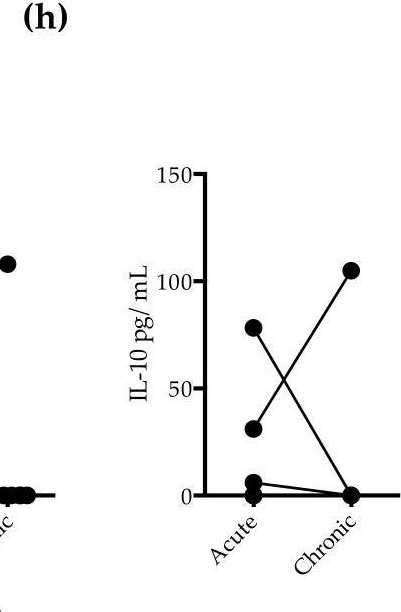 Fig.3.H showing Enzyme-linked immunosorbent assay from the publication: Increased Indoleamine 2,3-Dioxygenase 1 (IDO-1) Activity and Inflammatory Responses during Chikungunya Virus Infection.