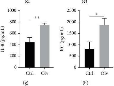 Fig.1.D showing Enzyme-linked immunosorbent assay from the publication: LTB4 Promotes Acute Lung Injury via Upregulating the PLCε-1/TLR4/NF-κB Pathway in One-Lung Ventilation.