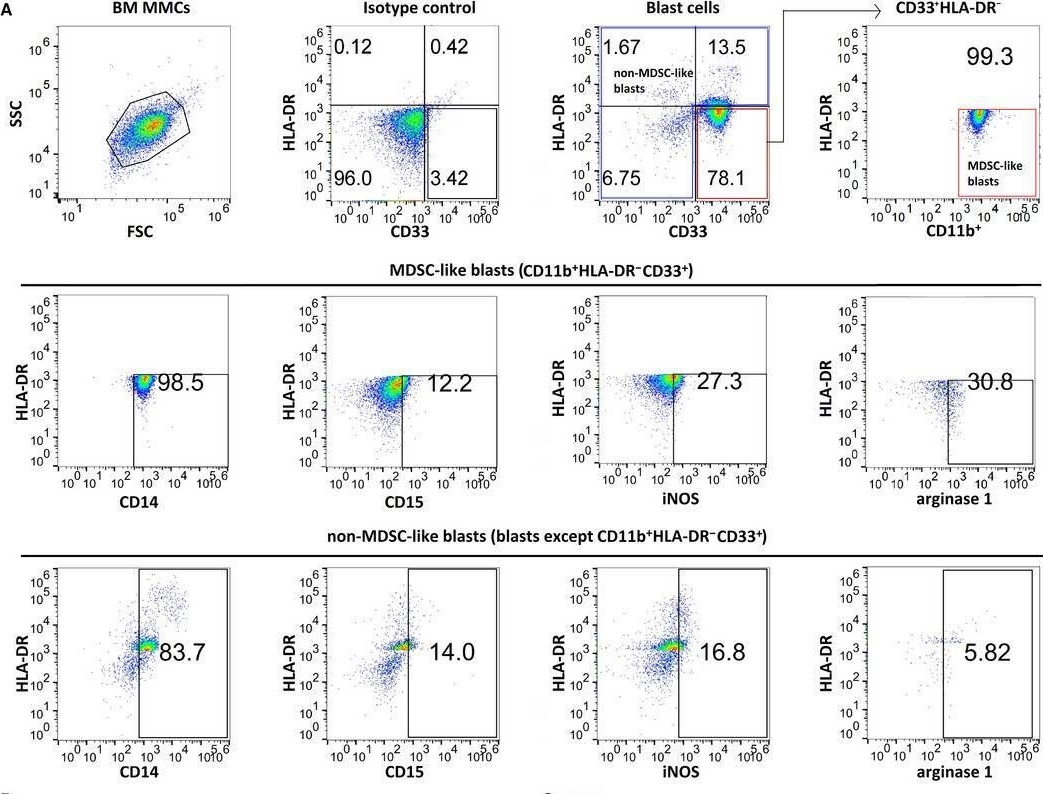 Fig.2.A showing Flow cytometry/Cell sorting from the publication: Immunosuppressive role of CD11b+ CD33+ HLA-DR- myeloid-derived suppressor cells-like blast subpopulation in acute myeloid leukemia.