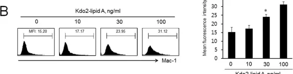 Fig.1.B showing Flow cytometry/Cell sorting from the publication: TLR4-mediated expression of Mac-1 in monocytes plays a pivotal role in monocyte adhesion to vascular endothelium.