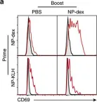 Fig.6.A showing Flow cytometry/Cell sorting from the publication: Mature IgM-expressing plasma cells sense antigen and develop competence for cytokine production upon antigenic challenge.