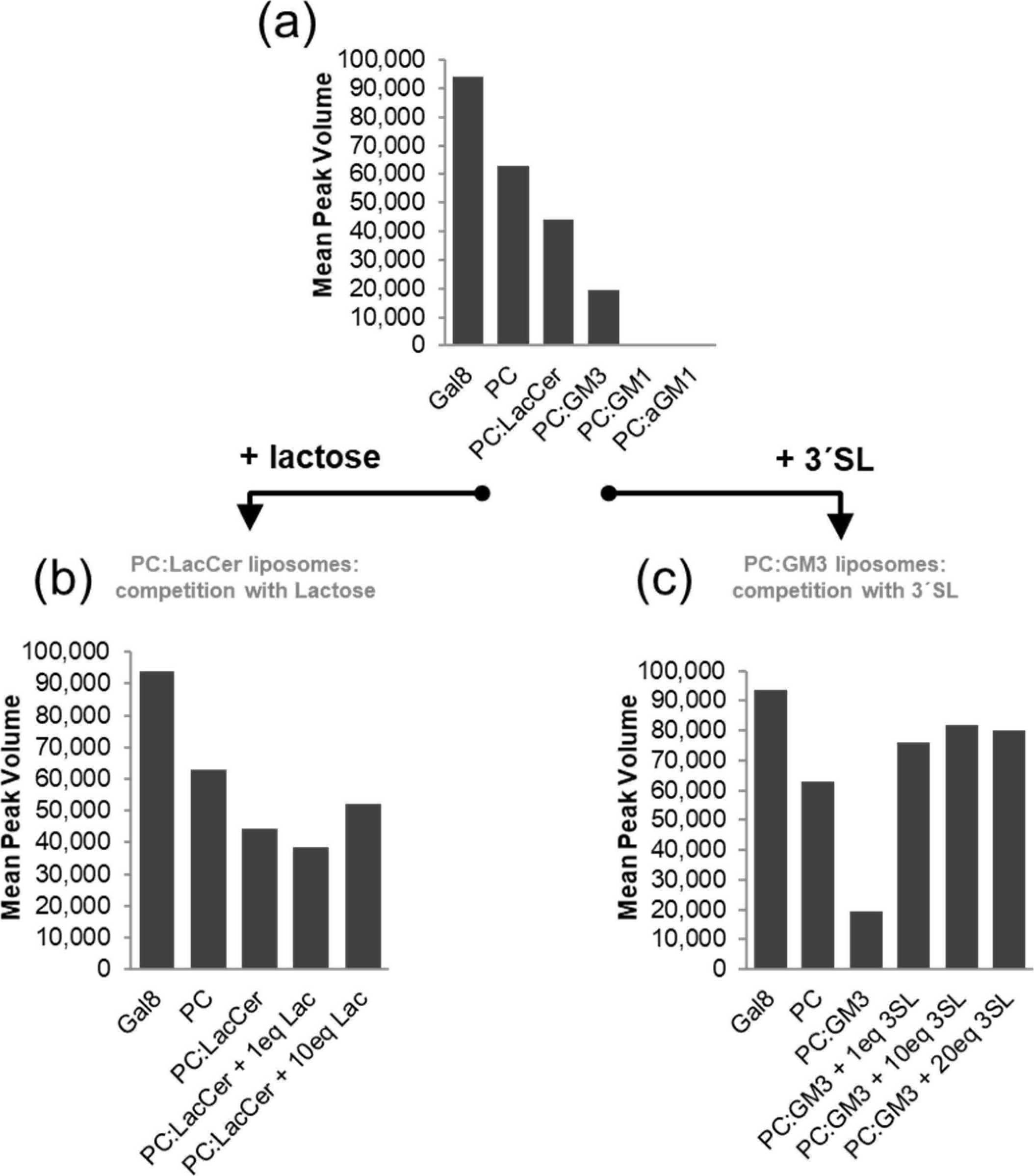 Fig.5.A from the publication: Oligosaccharide Presentation Modulates the Molecular Recognition of Glycolipids by Galectins on Membrane Surfaces.