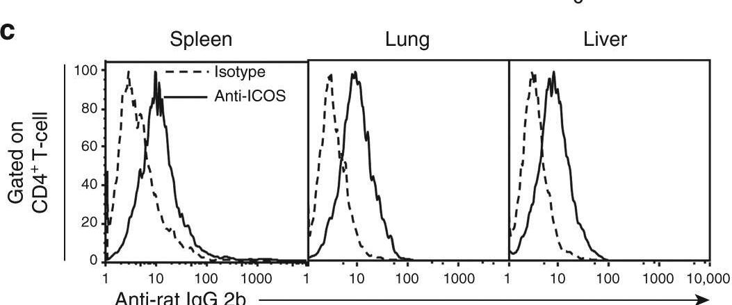 Fig.5.C showing Flow cytometry/Cell sorting in a Mus musculus (House mouse) sample from the publication: Extrafollicular CD4+ T-B interactions are sufficient for inducing autoimmune-like chronic graft-versus-host disease.
