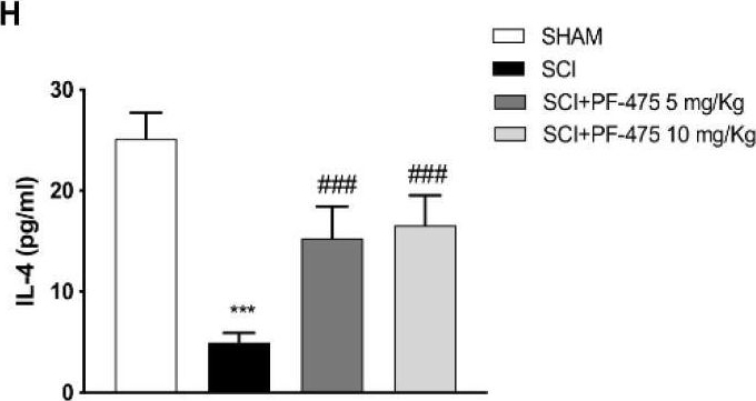 Fig.5.H showing Enzyme-linked immunosorbent assay from the publication: LRRK2 Inhibition by PF06447475 Antagonist Modulates Early Neuronal Damage after Spinal Cord Trauma.