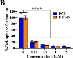 Fig.4.B from the publication: Activation of the Hippo Pathway by ATN Suppresses Cancer Stem-Like Properties and EGFR-Associated Signaling in Castration-Resistant Prostate Cancer Cells in vitro.