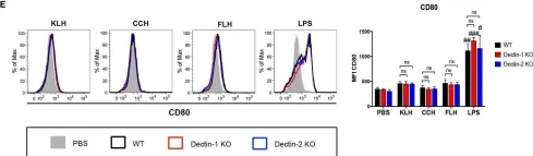 Fig.3.E showing Flow cytometry/Cell sorting from the publication: TLR4, but Neither Dectin-1 nor Dectin-2, Participates in the Mollusk Hemocyanin-Induced Proinflammatory Effects in Antigen-Presenting Cells From Mammals.