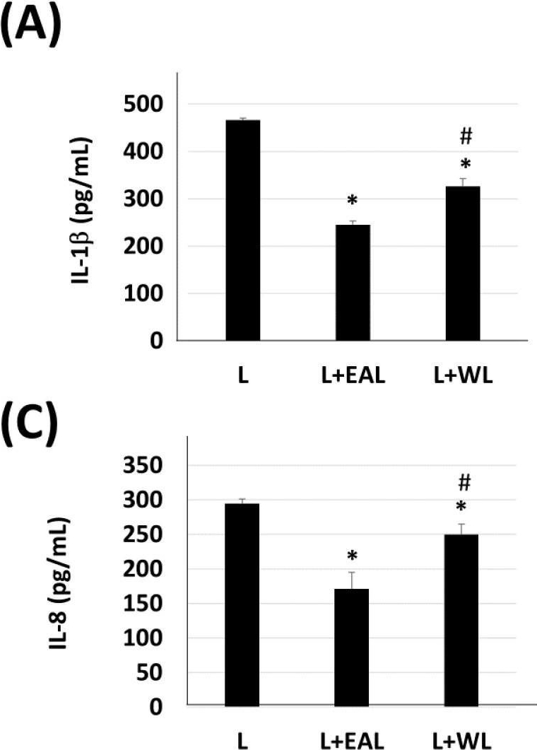 Fig.3.A showing Enzyme-linked immunosorbent assay from the publication: The Ethyl Acetate Extract of Caulerpa microphysa Promotes Collagen Homeostasis and Inhibits Inflammation in the Skin.