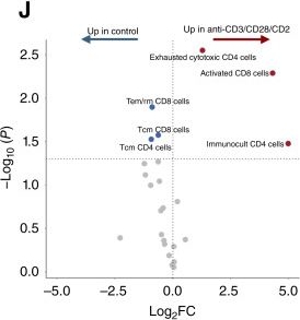 Fig.4.J from the publication: Functionally Characterizing the Renal Cell Carcinoma Tumor-Immune Microenvironment via Patient-Derived Ex Vivo Models.